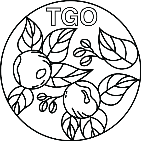 TGO RENTAL